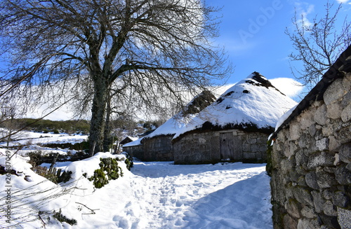 Obraz na płótnie Piornedo, Ancares, Galicia, Spain. Ancient snowy palloza houses made with stone and straw. Village covered with snow, trees and blue sky. w salonie