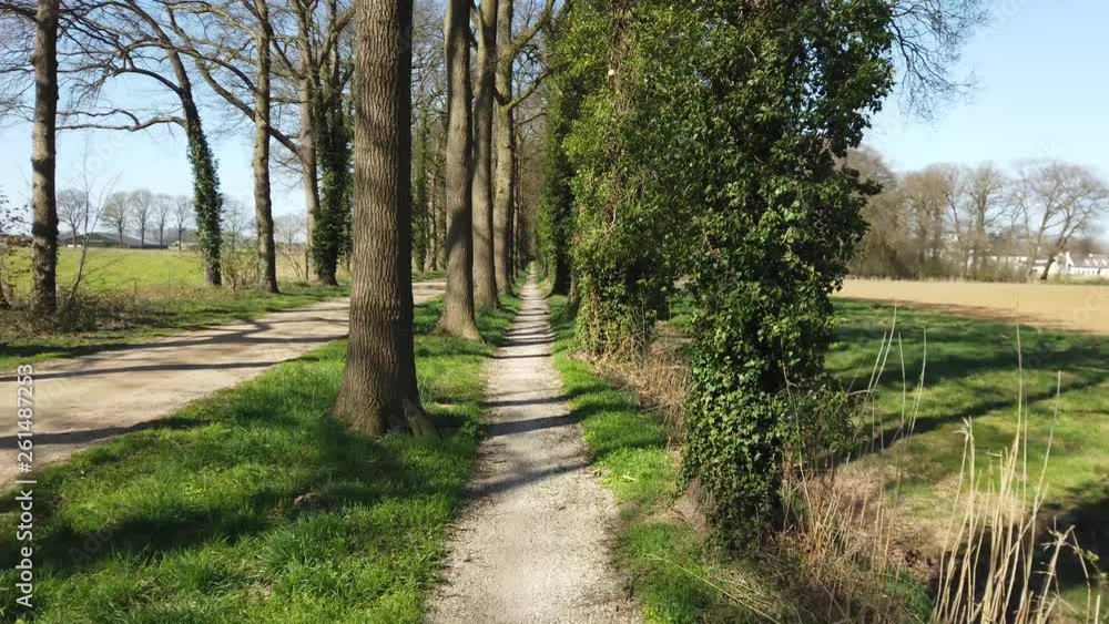 POV Aerial driving through Forest path road