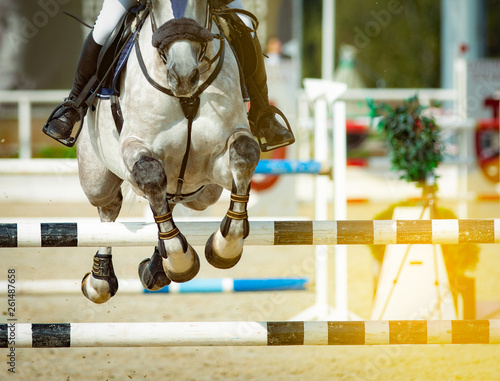Horse and rider in show jumping