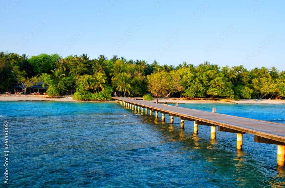 Wooden pier, bridge to island with tropical garden. Maldives island, Indian Ocean. Travel summer vacation background