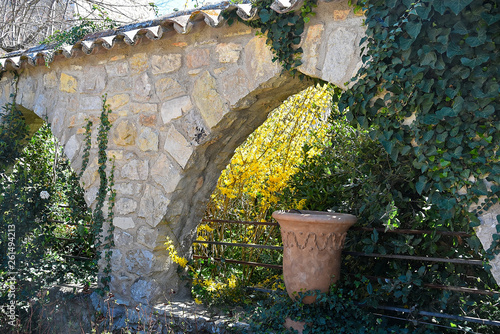 old brick wall with green plants and stone vase in Provence, France
