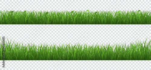 Green grass with plants border set isolated on transparent background.