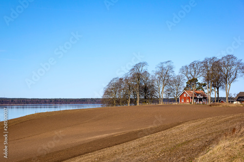 Beautiful Landscape in springtime around the Lake Hornborga, in the middle of Sweden photo