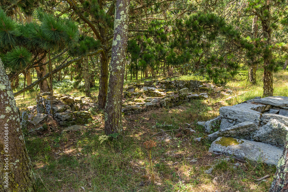 Archipelago Cies, Spain. Ruins in the forest on the island of Monte Agudo Archipelago Cies, Spain. Ruins in the forest on the island of Monte Agudo