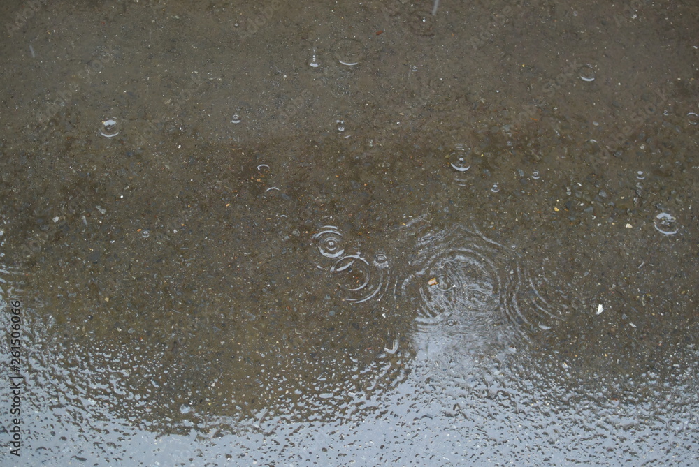 雨の日の水紋 雨の日の水紋