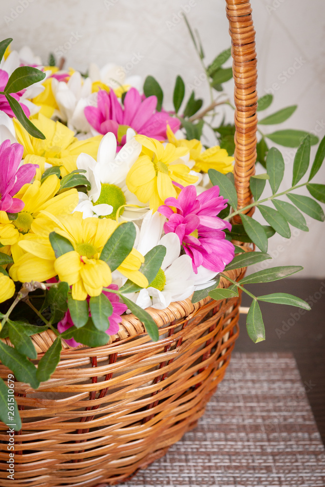 Beautiful colorful chrysanthemum flowers in a wicker basket Beautiful colorful chrysanthemum flowers in a wicker basket