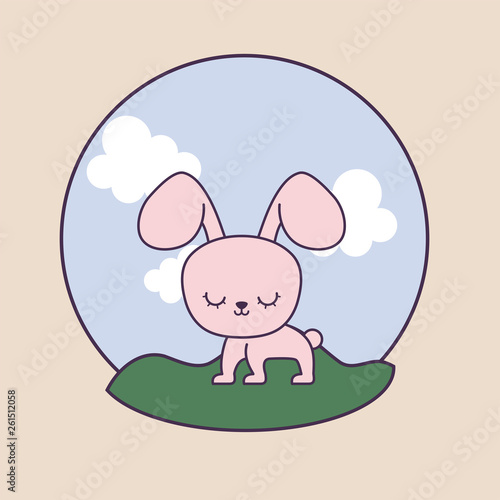 cute rabbit animal with landscape in frame circular