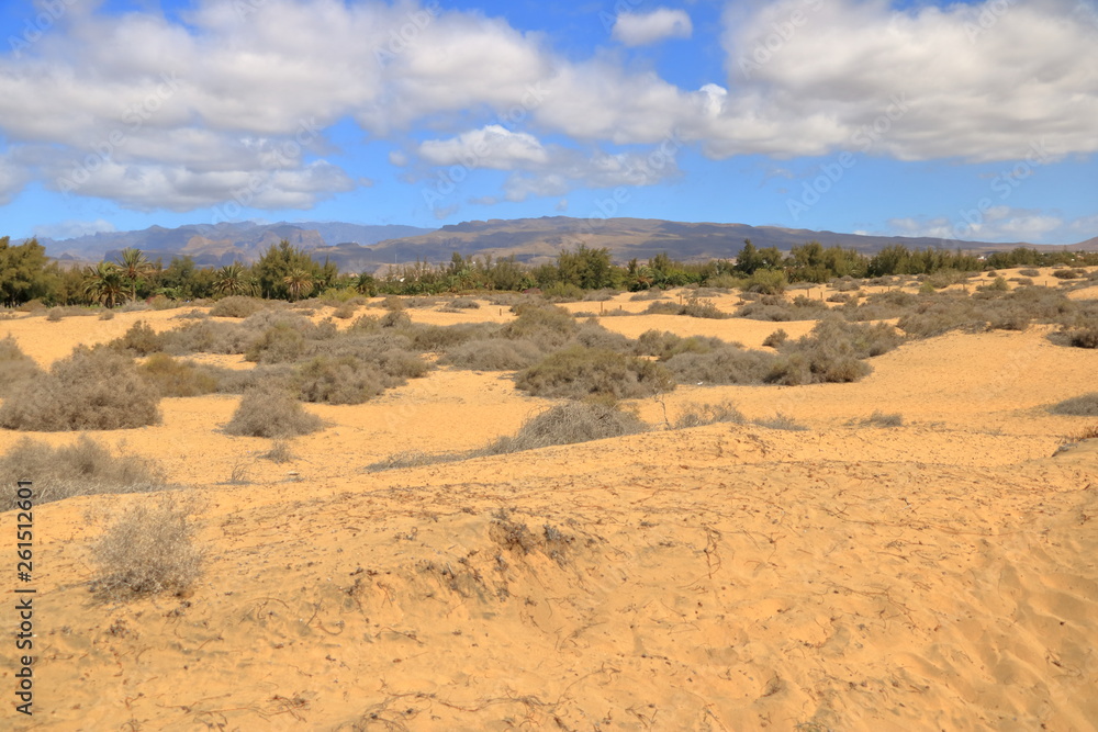 Aerial view of the Maspalomas dunes on Gran Canaria island.