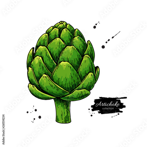 Artichoke hand drawn vector illustration. Isolated Vegetable object.