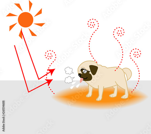 熱中症、夏バテの犬