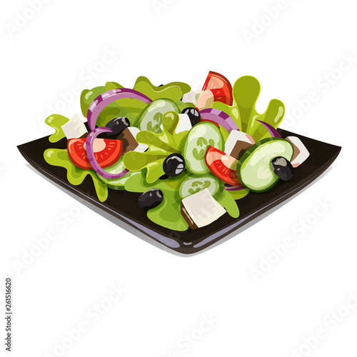 vegetable salad on black square plate, vector image. isolated