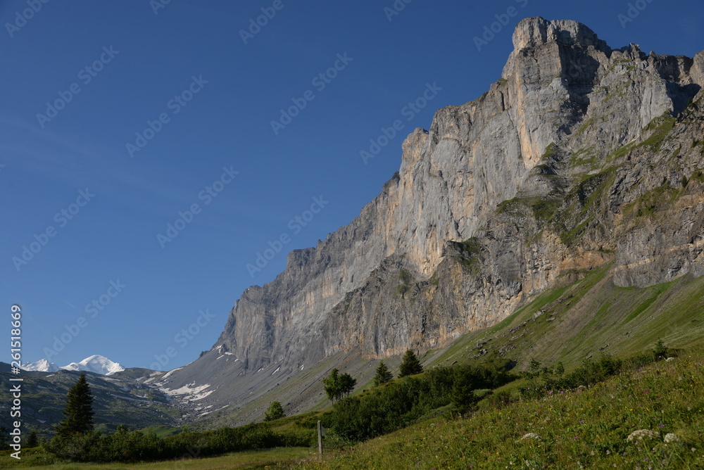 paroie des Fiz et Mont-Blanc - Alpes