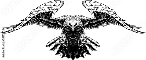 Canvas Print Flying big eagle