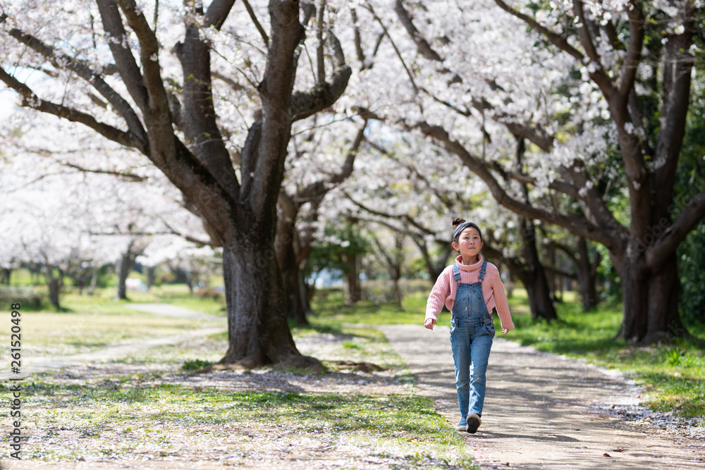 桜の花の小道で遊ぶ女の子