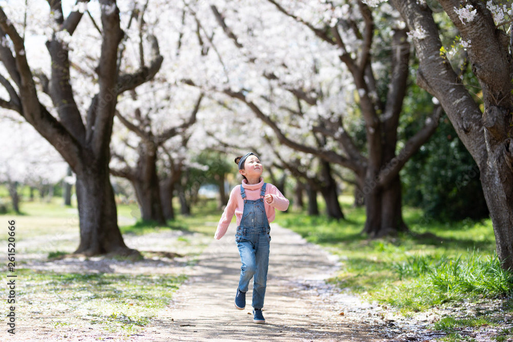 桜の花の小道で遊ぶ女の子