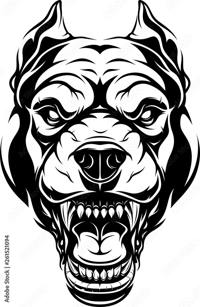Ferocious pitbull dog head Ferocious pitbull dog head