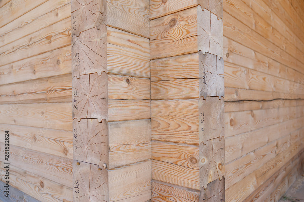 Timber wooden log of the house Timber wooden log of the house