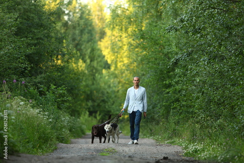 A man with two dogs walking on a sunny meadow