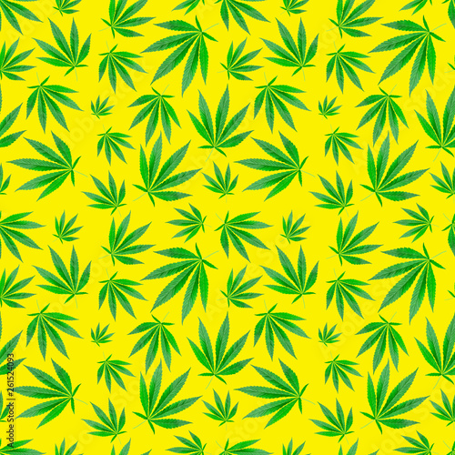 Green leaves weed seamless pattern on yellow background. cannabis, drugs, marijuana, hemp. Summer background.