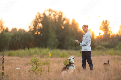 A man with two dogs walking on a sunny meadow