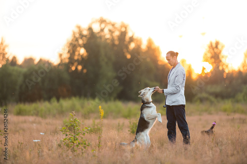 Wall Mural A man with two dogs walking on a sunny meadow