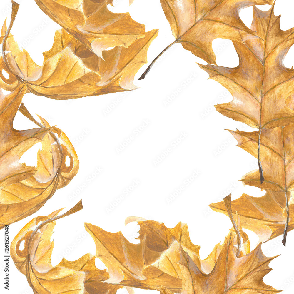 Fototapeta premium Drawn autumn leaves frame