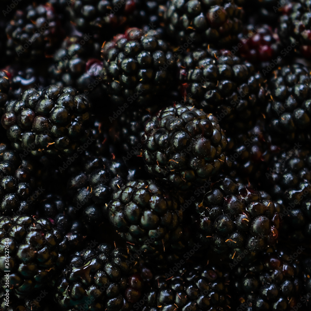 Background made of blackberries Background made of blackberries
