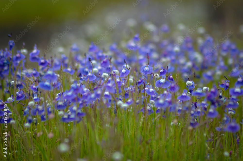 Naklejka premium untitled photos