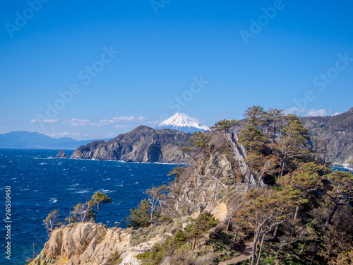 【伊豆半島ジオパーク】春の西伊豆黄金崎【遊歩道・富士山】