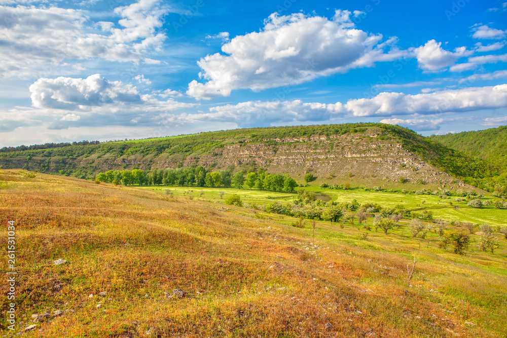 scenery with beautiful fields and hills in the summer