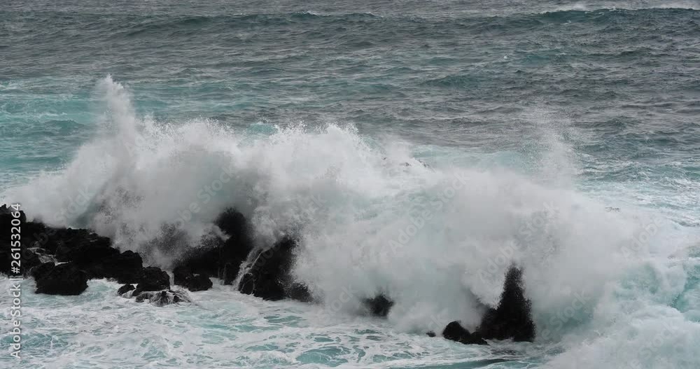 Wave crash into rock coastline, Atlantic Ocean, Porto Moniz, Madeira Island Portugal, Slow Motion 4K Wave crash into rock coastline, Atlantic Ocean, Porto Moniz, Madeira Island Portugal, Slow Motion 4K
