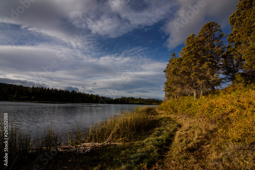 Patagonia landscape near a lagoon against mountains during autumn season