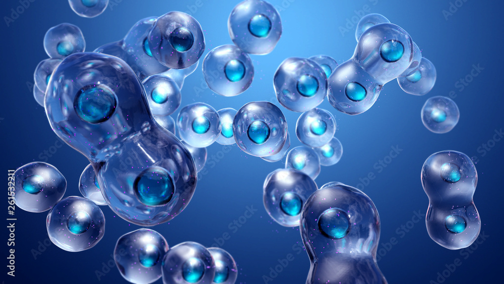 Cell Division or Cloning Cells Cell Division or Cloning Cells