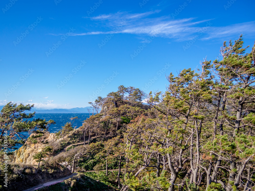 【伊豆半島ジオパーク】西伊豆黄金崎から見る富士山【春】 【伊豆半島ジオパーク】西伊豆黄金崎から見る富士山【春】
