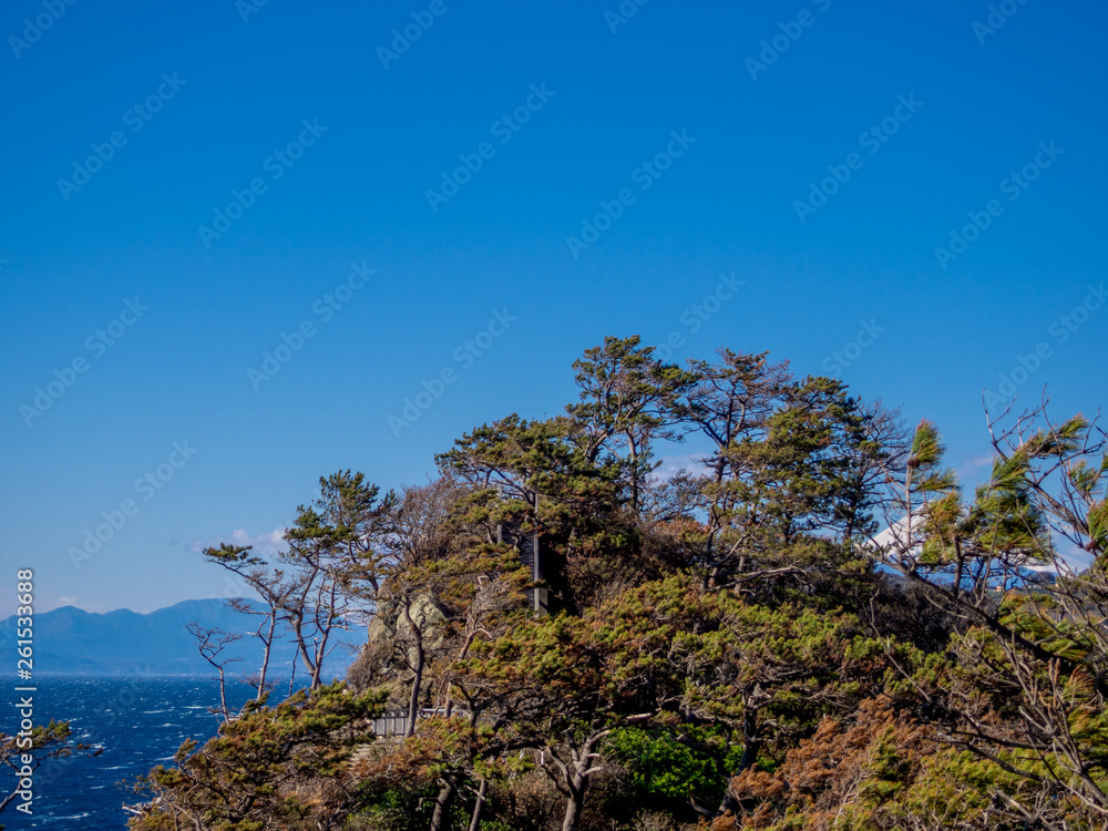 【伊豆半島ジオパーク】西伊豆黄金崎から見る富士山【春】