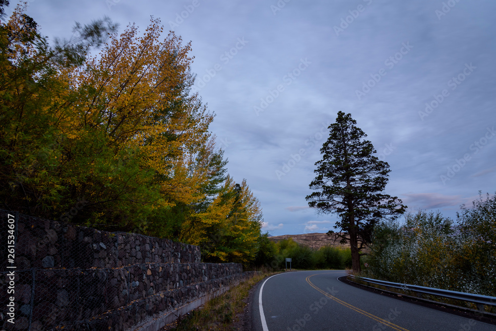 Fototapeta premium Colorful Patagonia road during autumn season