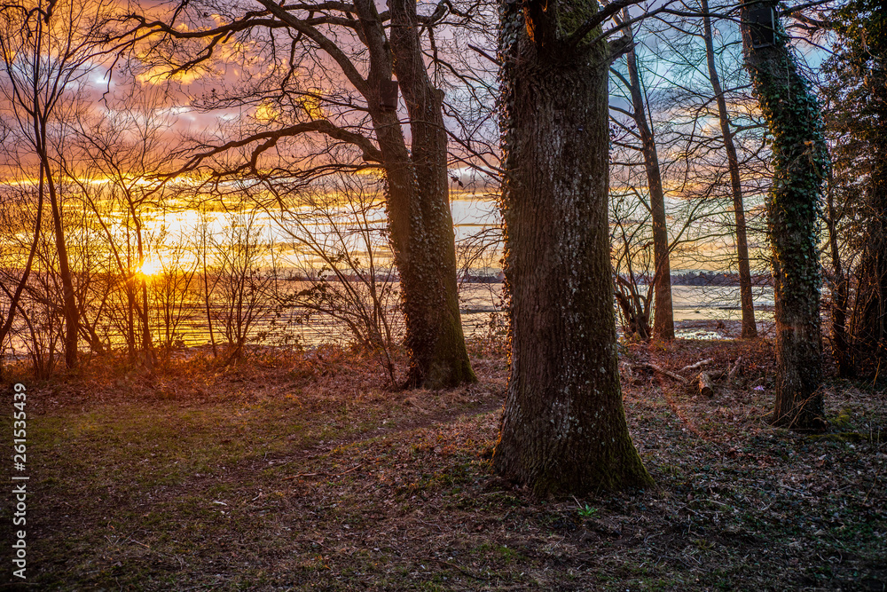 D, Bayern, Bodensee, Lindau, Hafenweihnacht, Weihnachtsmarkt