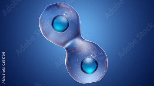 Fotografija Cell Division or Cloning Cells