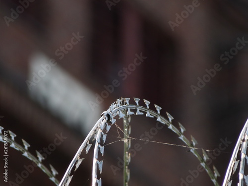 Barbed Wire