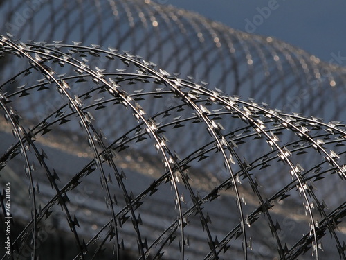 Barbed Wire
