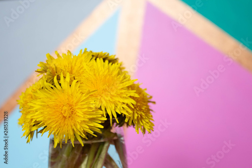 Bouquet of taraxacum dandelion flowers in a glass vase on a colorful background. Copy space