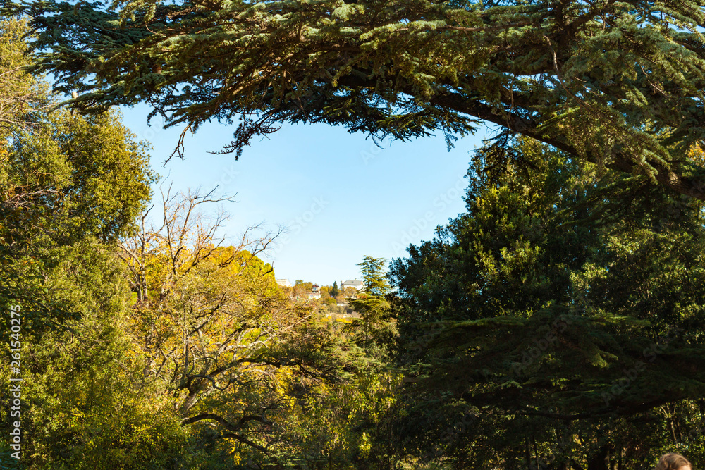 Russia, Crimea, Alupka 03 November 2018: incredibly beautiful landscape view of the park of Vorontsov Palace with coniferous and deciduous trees, woody shrubs, Cypress. Russia, Crimea, Alupka 03 November 2018: incredibly beautiful landscape view of the park of Vorontsov Palace with coniferous and deciduous trees, woody shrubs, Cypress.