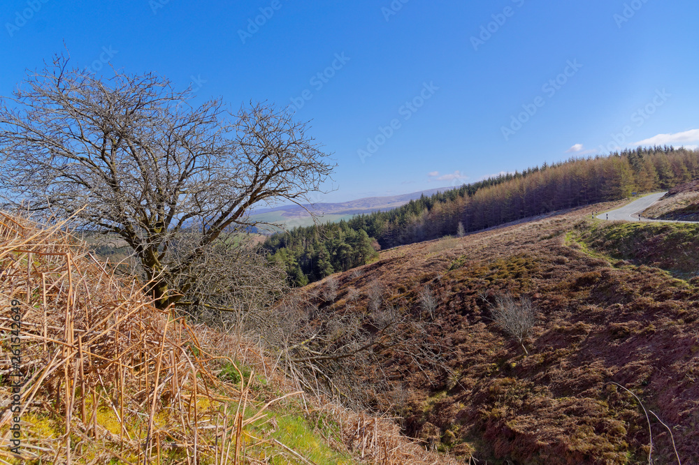 Spring view of the mountains in Snowdonia. Spring view of the mountains in Snowdonia.