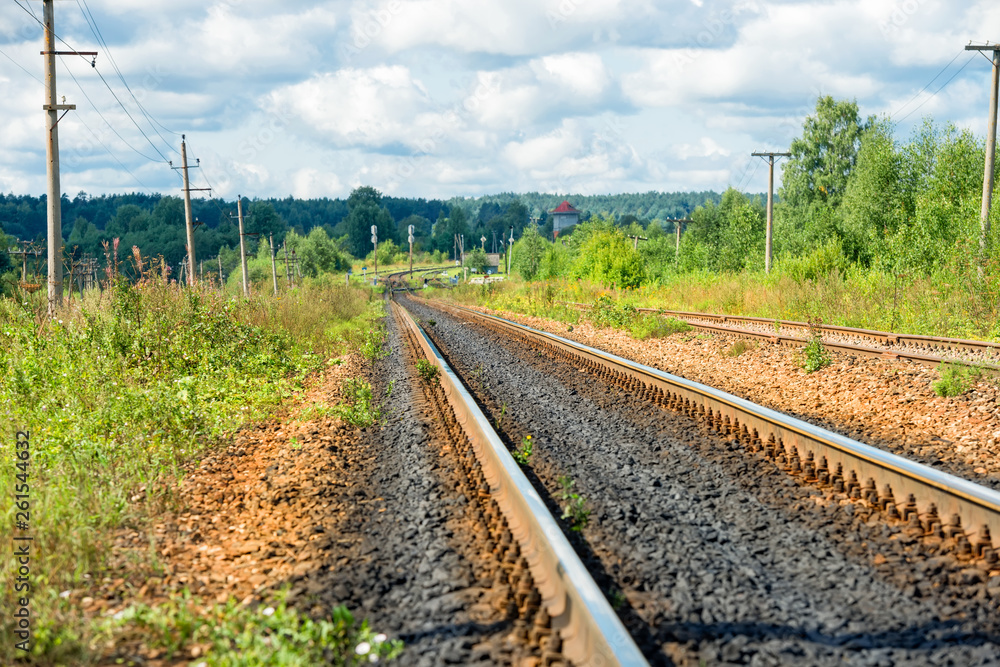 Railway track goes beyond the horizon through the forest Railway track goes beyond the horizon through the forest