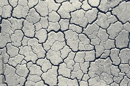 Cracked soil patterns. Abstract background texture