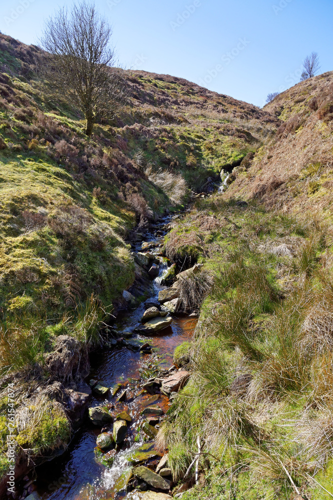 Springtime view of the stream in the mountains of Snowdonia.