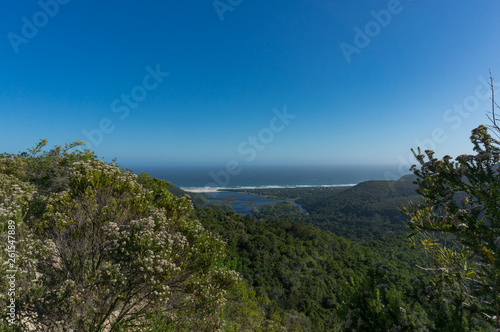 River mouth and ocean with forest covered mountains landscape