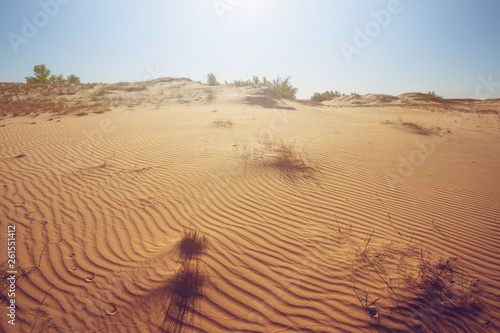hot summer sandy desert under a sparkle sun