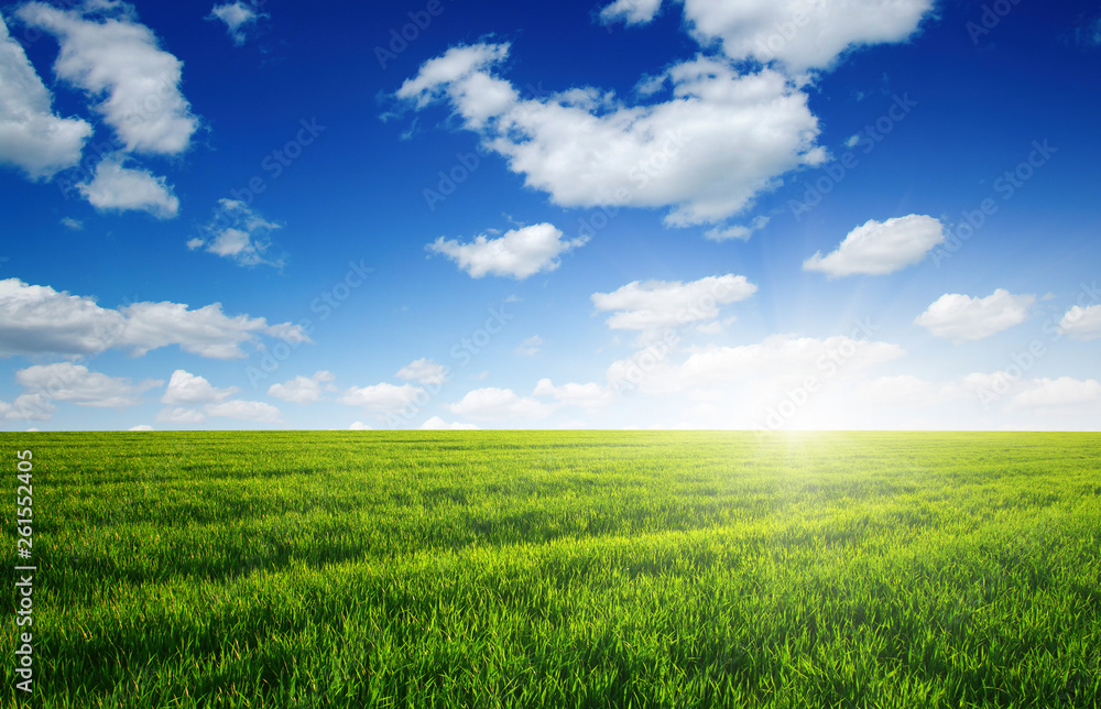 Green field and sun.