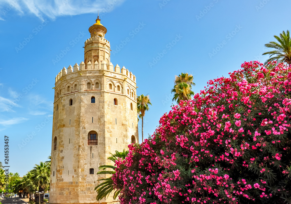 Fototapeta premium Tower of Gold (Torre del Oro) in Seville, Spain